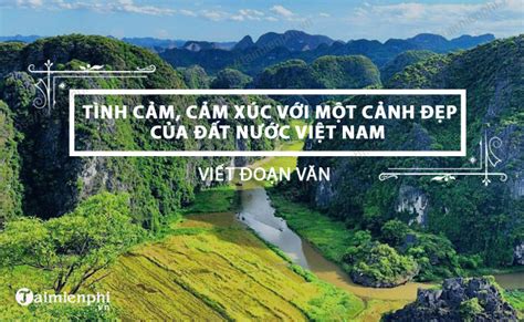  Cuộc Gặp Gỡ Trẻ Em Tình Cảm Với Vashti: Một Buổi Chiều Thú Vị